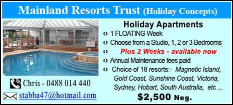 Holiday Concepts - $2500